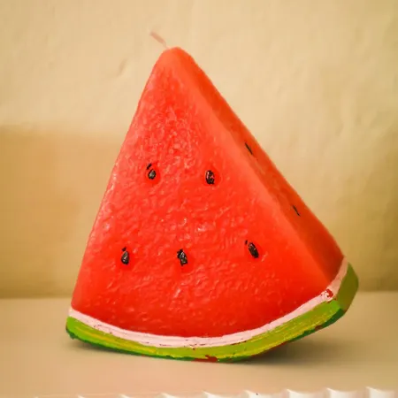 Апартаменты The Mirrorbubble Шкодер