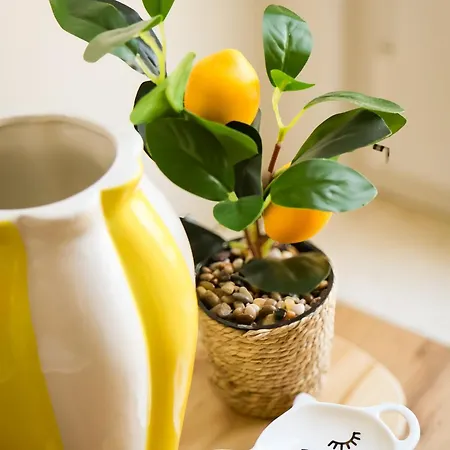 The Mirrorbubble Shkodër