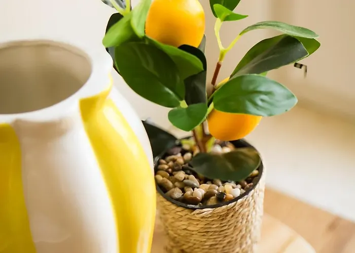 The Mirrorbubble Shkodër