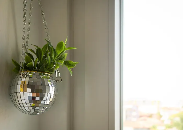 The Mirrorbubble Shkodër