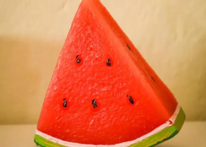 Apartman The Mirrorbubble Shkodra